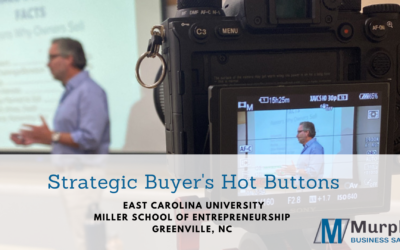 Strategic Buyer’s Hot Buttons