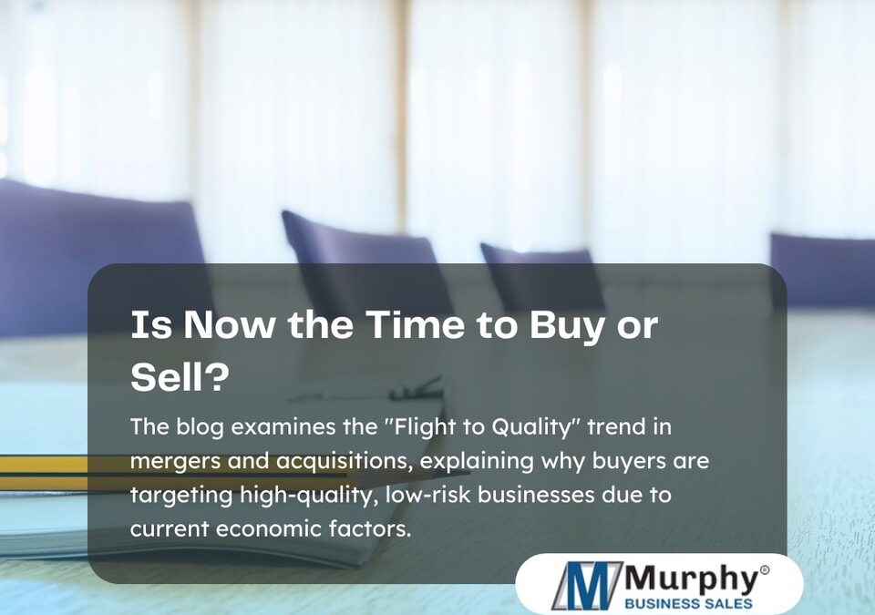 Is Now the Time to Buy or Sell? Unveiling the Flight to Quality in M&A Trends